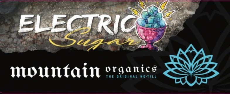 Electric Sugar