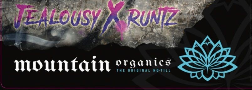 Jealousy X Runtz