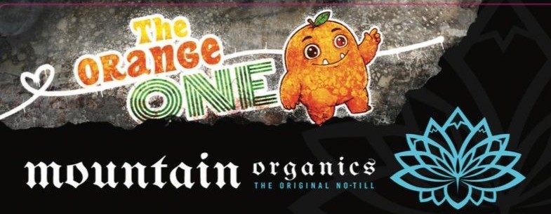 The Orange One