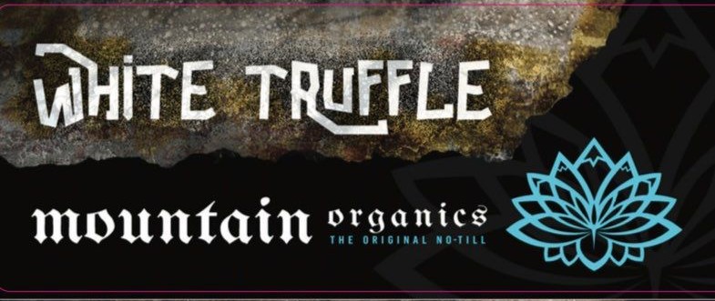 White Truffle